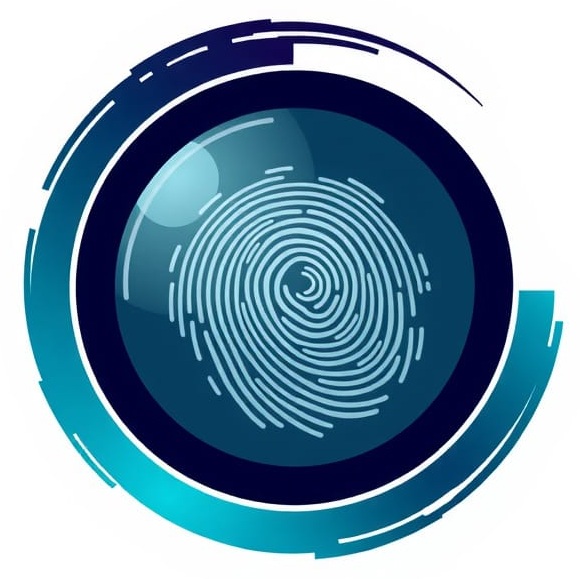 Birthmark Standard Foundation Logo